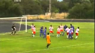 Futebol 365