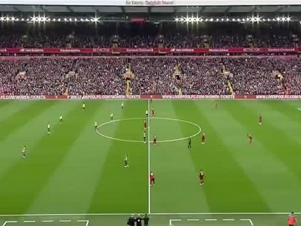 Premier League: Liverpool 3 - 0 Southampton (2018-2019)