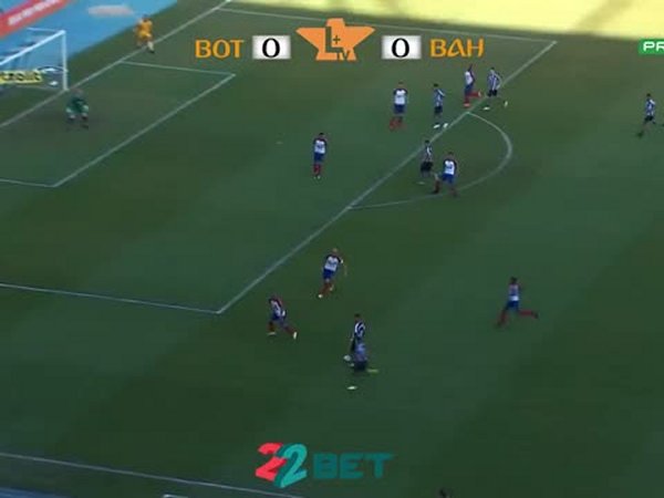 Futebol 365