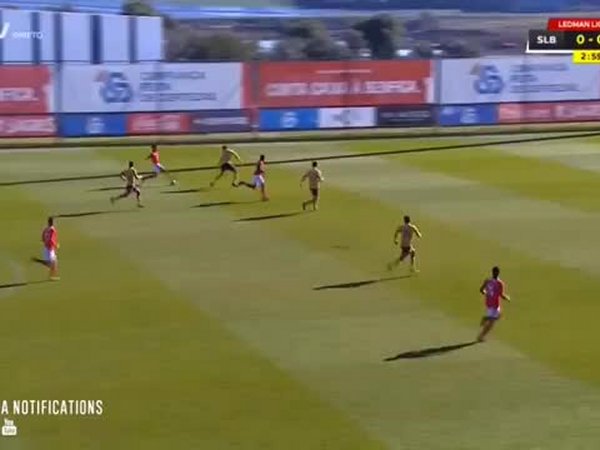 Futebol 365