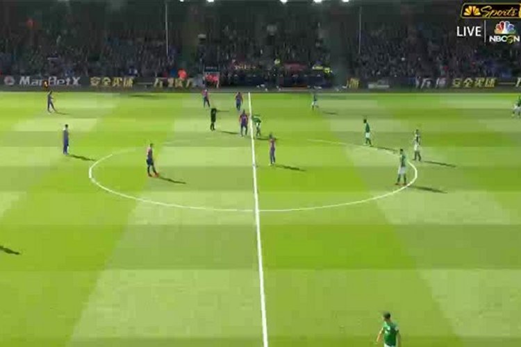 Premier League: Crystal Palace 1 - 2 Brighton (2018-2019)