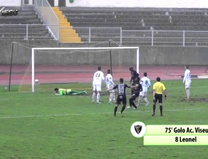 Futebol 365