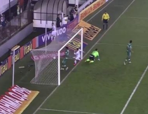 Futebol 365