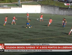 Futebol 365