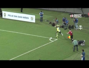Futebol 365