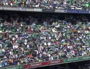 Futebol 365