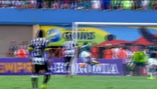Futebol 365