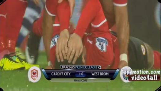 Premier League: Cardiff City 1 - 0 WBA (2013-2014)