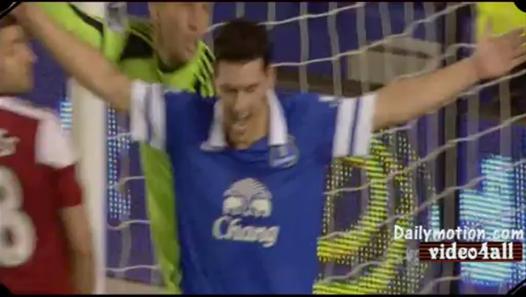 Premier League: Everton 4 - 1 Fulham (2013-2014)