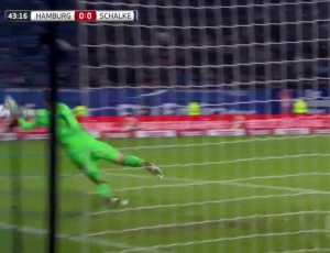Bundesliga: Hamburger SV 2 - 1 Schalke 04 (2016-2017)