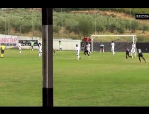 Futebol 365