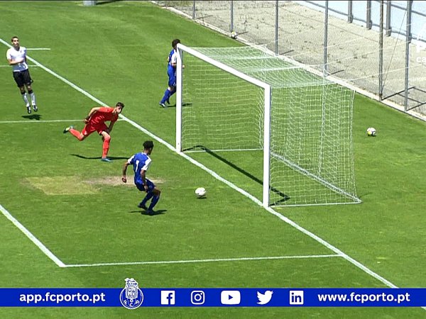 Futebol 365