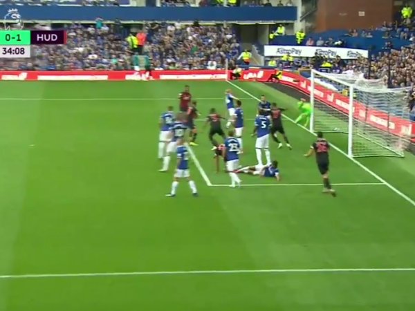 Premier League: Everton 1 - 1 Huddersfield Town (2018-2019)