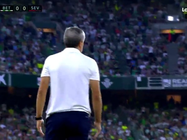 Futebol 365