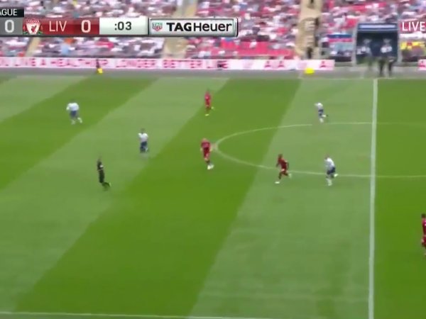 Premier League: Tottenham 1 - 2 Liverpool (2018-2019)