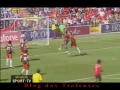 Futebol 365