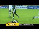 Futebol 365