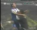 Futebol 365