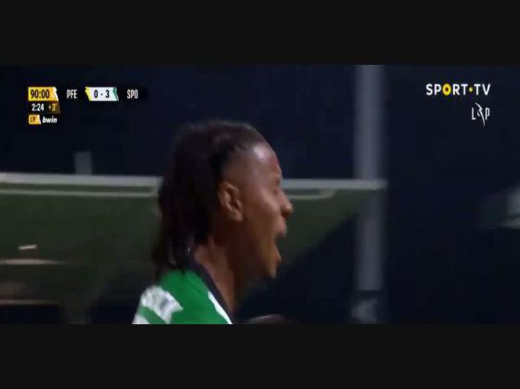 Futebol 365