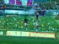 Futebol 365