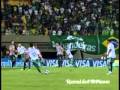 Futebol 365