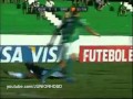 Brasileirão: Guarani 0-3 Grémio (2010)