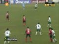 Futebol 365