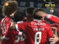 Liga Zon Sagres: Académica 0-1 Benfica (2010-2011)