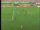 Futebol 365