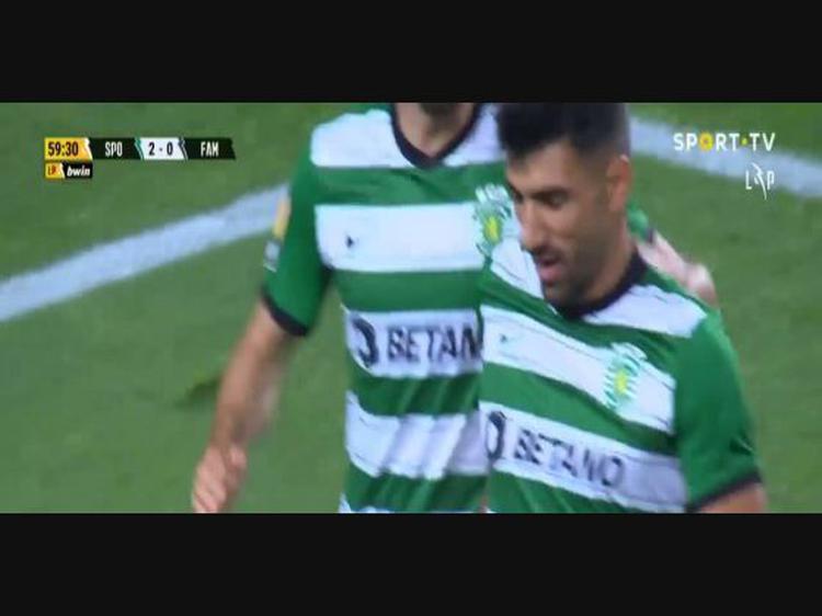 Futebol 365