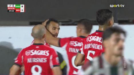 Futebol 365