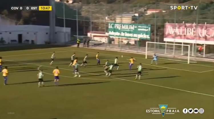Futebol 365