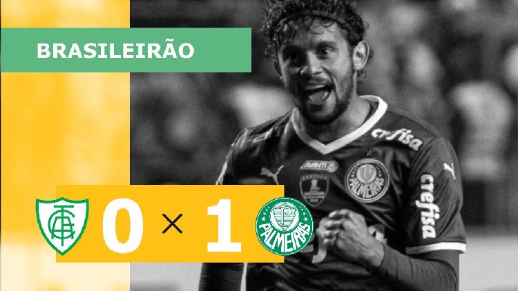 Futebol 365