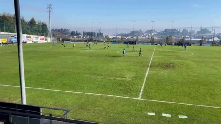Futebol 365