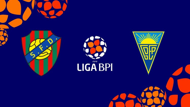 Futebol 365
