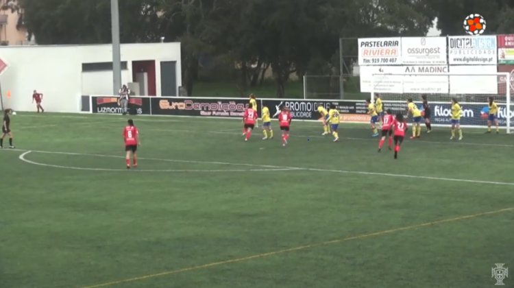 Futebol 365