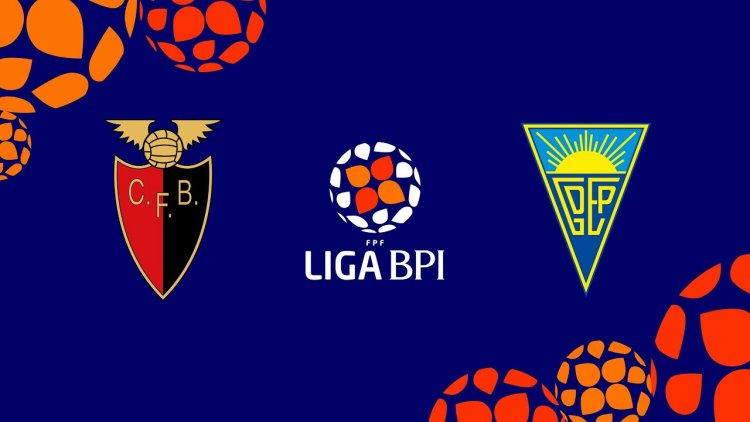 Futebol 365