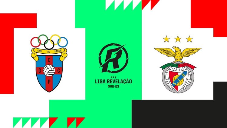 Futebol 365