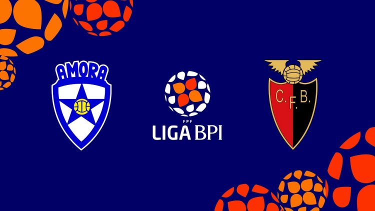 Futebol 365