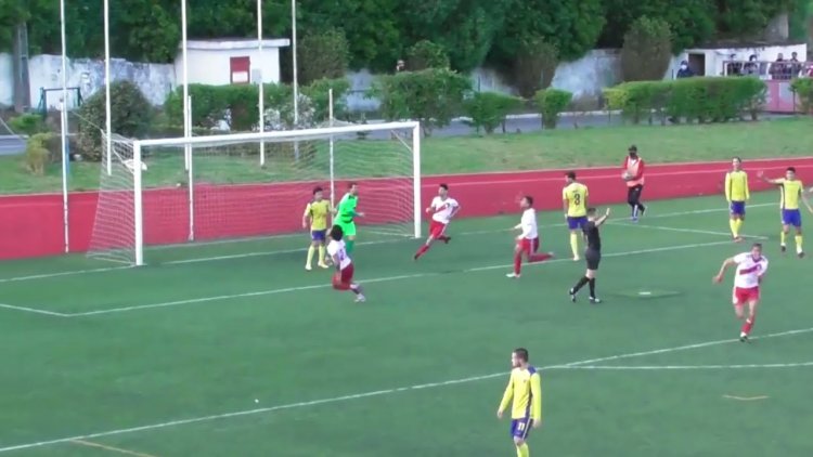 Futebol 365