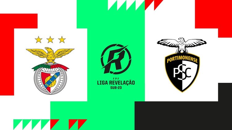 Futebol 365