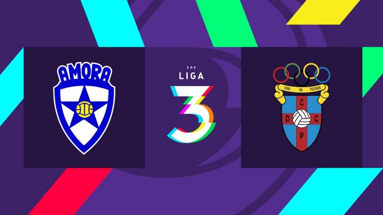 Futebol 365