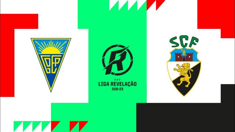 Futebol 365