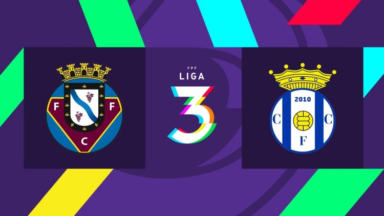 Futebol 365
