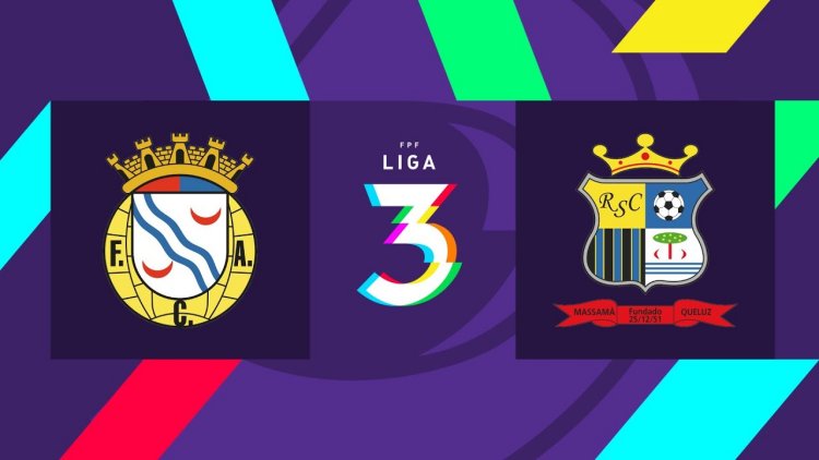 Futebol 365