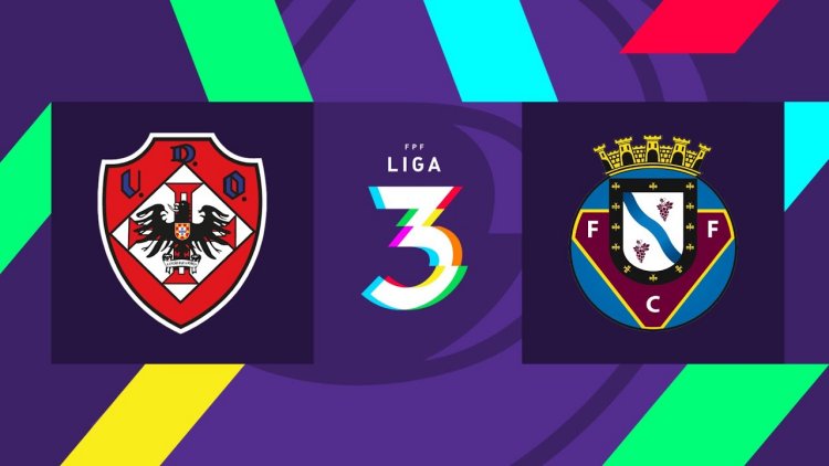 Futebol 365