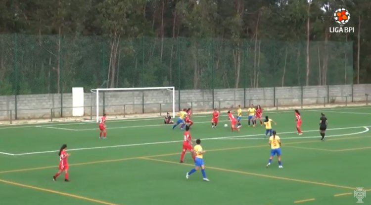 Futebol 365