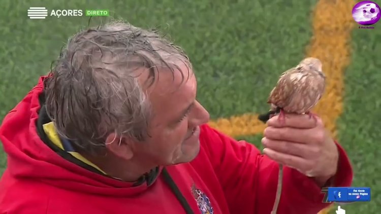 Futebol 365