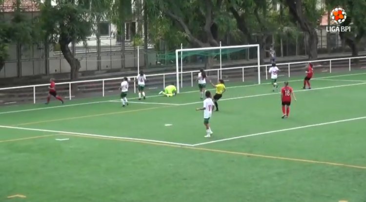 Futebol 365