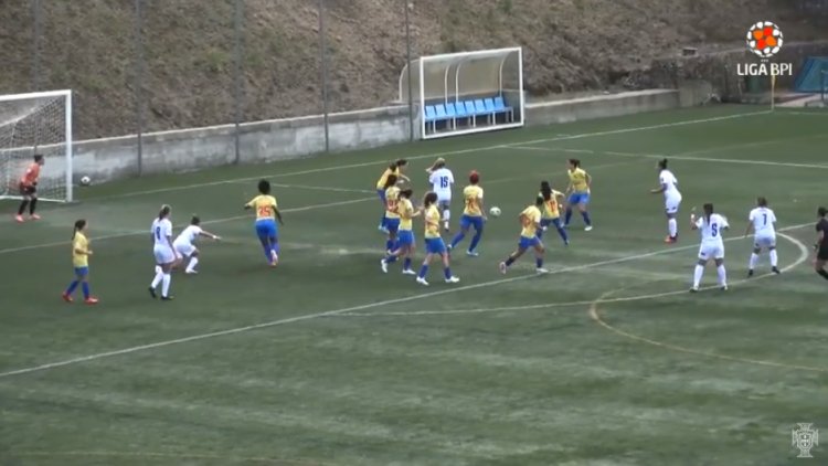 Futebol 365